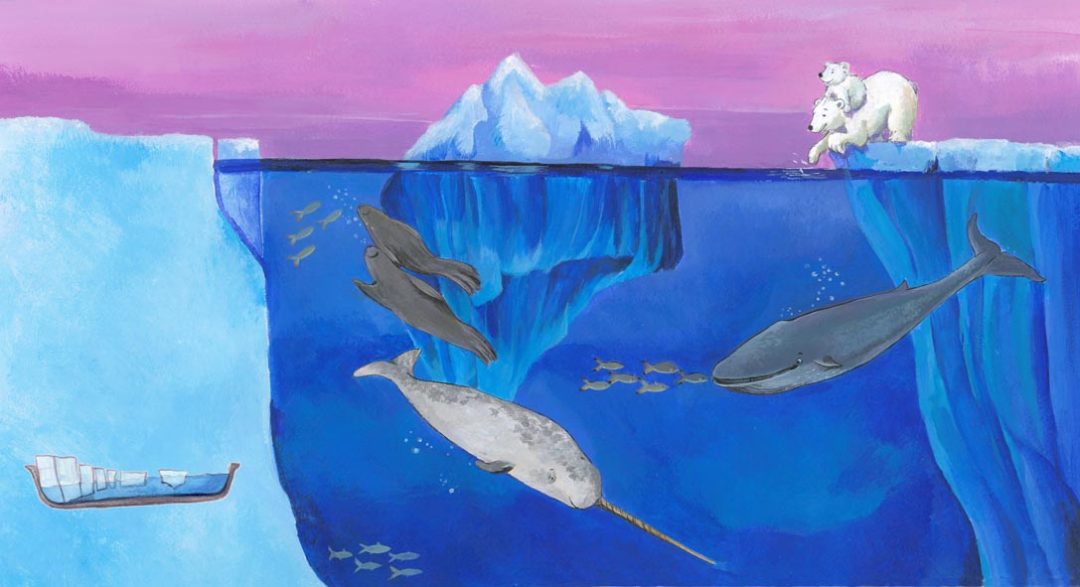 De noordpool en de zuidpool – Ijsberg